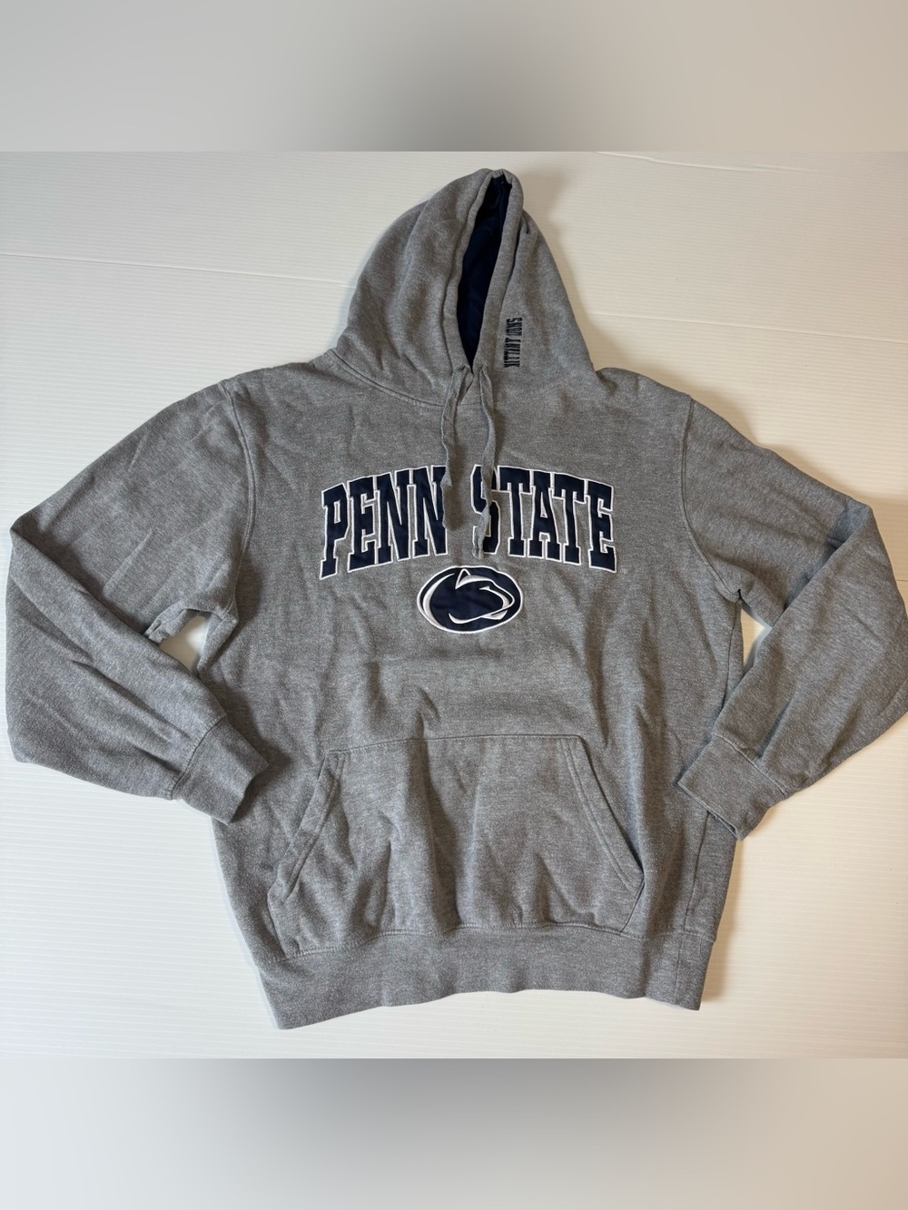 Penn State Nittany Lions Colosseum Hoodie Mens M Gray Spellout Gorpcore Vintage